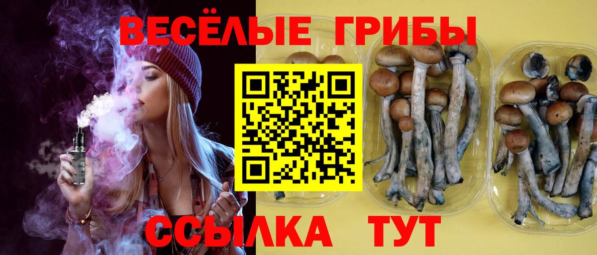 Переславль-Залесский  Псилоцибиновые грибы Psilocybe  Вход с VPN 